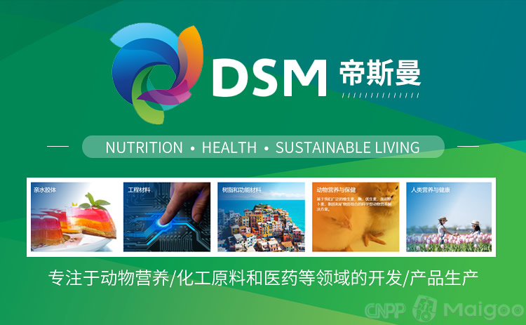 DSM帝斯曼